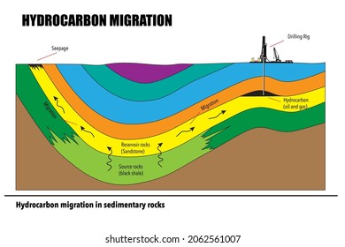Petroleum migration process in reservoir rocks trapped in anticline structure and seepage on earth surface. Subsurface cross section vector drawing diagram