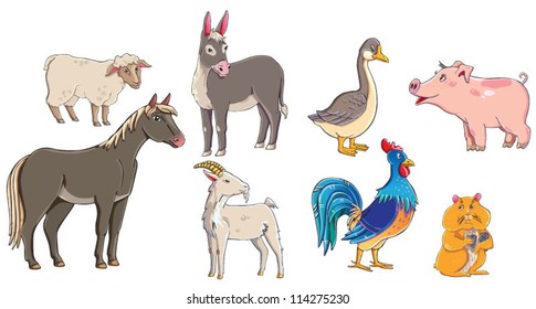 pets