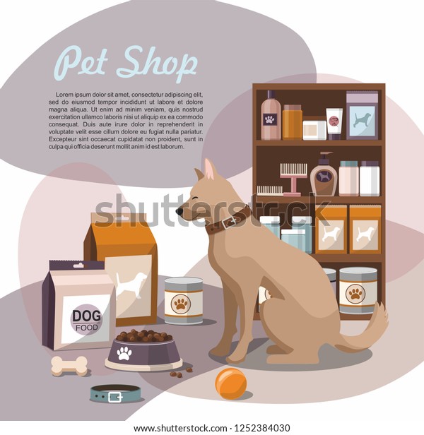 pet store accessories