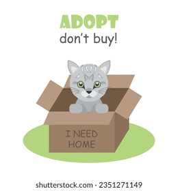Pets adoption vector illustration. Cat in a box on isolated background. Homeless animals conceptsign concept.