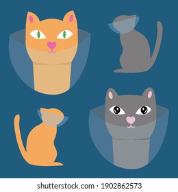 Pets after visiting the veterinar. Cats wearing protective veterinary cones. Animal care after surgery and medical interventions