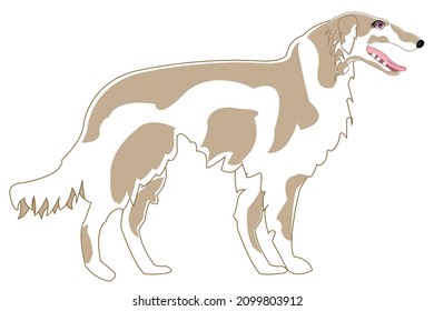 Pets animal dog sorts greyhound type from the side