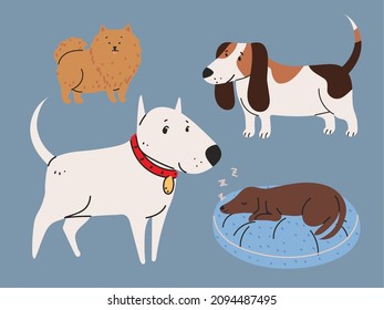 pets animals dogs icons set