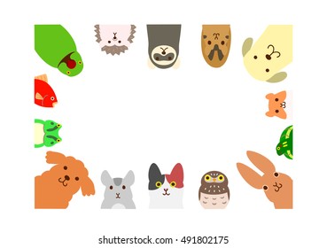 pets animals rectangle frame
