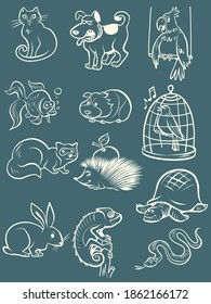 Pets animals sketch hand drawing collection set icons symbols comic cartoon retro style drawing