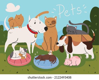 pets in backyard cartoon design