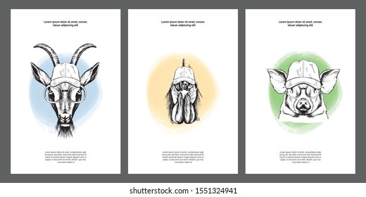 Pets in baseball cap and glasses set. Poster, card templates kit. Outlines elements with color- shapes on white background