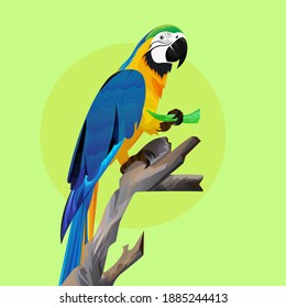 el vector de depuración de Pets Bird son los loros que intentan decir el lenguaje corporal. Ilustraciones dibujadas a mano para la decoración de paredes, papel pintado y elemento de diseño de producto