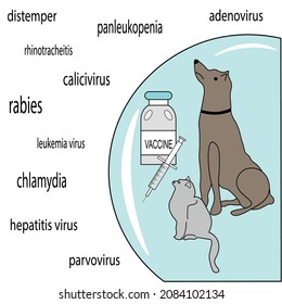 Pets cat and dog are protected by vaccines against various diseases.