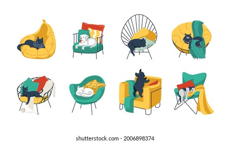 Pets in chairs. Cartoon funny home animals in cozy armchairs. Cats and dogs sleeping and resting on sofa. Kittens playing on stools. Vector bright furniture set with pillows and blankets