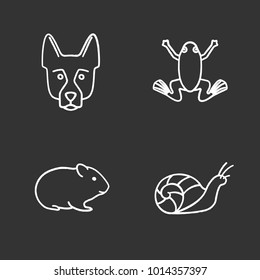 Pets chalk icons set. German Shepherd, frog, hamster, snail. Isolated vector chalkboard illustrations