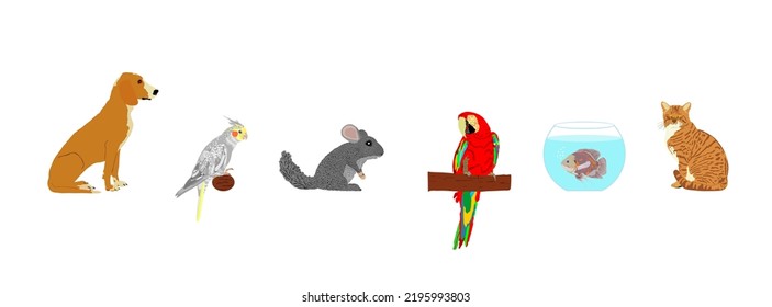 Pets collection. Domestic dog and cat vector illustration isolated on white. Macaw parrot and Cockatail Corella birds. Chinchilla lovely animal. Exotic Oscar fish in fishbowl aquarium. Pet shop.