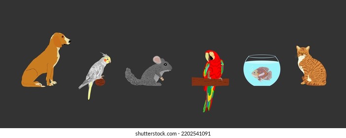 Pets collection. Domestic dog and cat vector illustration isolated on black. Macaw parrot and Cockatail Corella birds. Chinchilla lovely animal. Exotic Oscar fish in fishbowl aquarium. Pet shop.