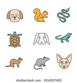 Pets color icons set. Maltese dog, squirrel, python, tortoise, rabbit, iguana, ferret, mouse, Canadian Sphynx. Isolated vector illustrations