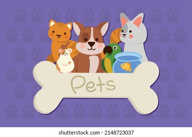 pets cute animals and bone