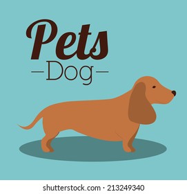 Pets design over blue background,vector illustration