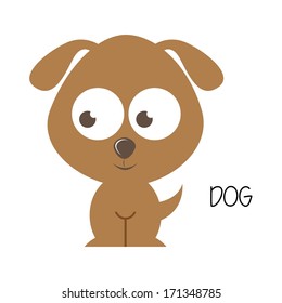 pets  design over white  background vector illustration  