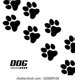 pets design over white background vector illustration