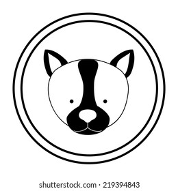 Pets design over white background, vector illustration