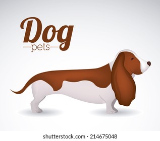 Pets design over white background,vector illustration