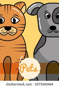pets dog and cat