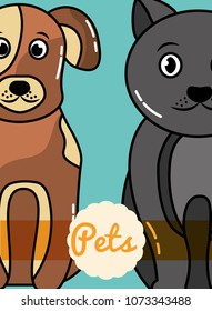 pets dog and cat