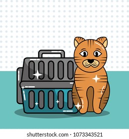 pets dog and cat