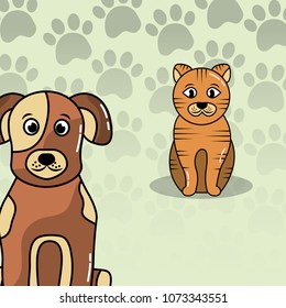 pets dog and cat
