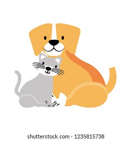 pets dog and cat on white background