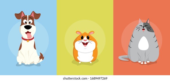 Pets dog, guinea pig and cat