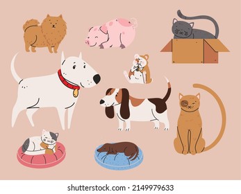 animales de compañía perros y gatos