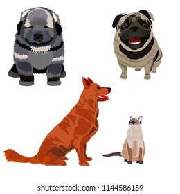 Pets, dogs of different breeds, service, watchdog, bulldog, shepherd, pug and Siamese cat