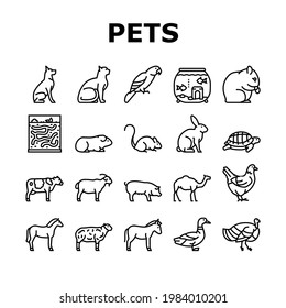 Pets Domestic Animal Collection Icons Set Vector. Dog And CAt Pets, Horse And Donkey, Pig And Bull Or Cow Farmland Beast, Parrot And Chicken Bird Black Contour Illustrations