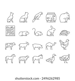 Pets Domestic Animal Collection Icons Set Vector. Dog And CAt Pets, Horse And Donkey, Pig And Bull Or Cow Farmland Beast, Parrot And Chicken Bird Black Contour Illustrations