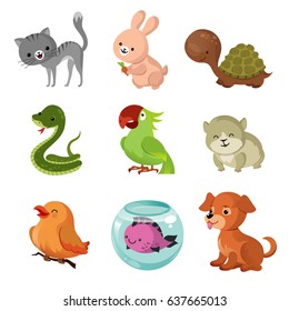 Pets domestic animals vector flat icons