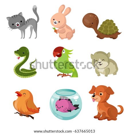 Similar – Image, Stock Photo cute dog with bunny costume