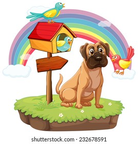 Pets enjoying a beautiful day