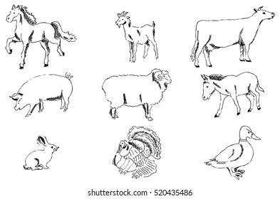 Set Bulls Cow Coming Cow Standing Stock Vector (Royalty Free) 1022996878