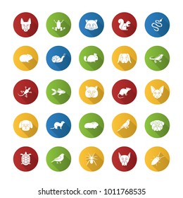 Pets flat design long shadow glyph icons set. Exotic animals. Rodents, birds, reptiles, insects, dogs, cats. Vector silhouette illustration