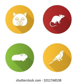 Pets flat design long shadow glyph icons set. British cat, mouse, cavy, budgerigar. Vector silhouette illustration