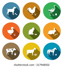 Pets flat icon collection