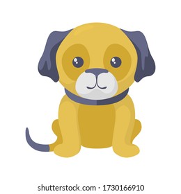 Pets flat icon. Colorful illustration of the dog. Vector.