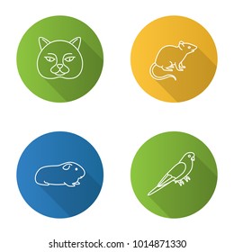 Pets flat linear long shadow icons set. British cat, mouse, cavy, budgerigar. Vector outline illustration