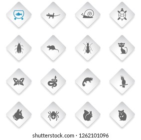 pets flat rhombus web icons for user interface design