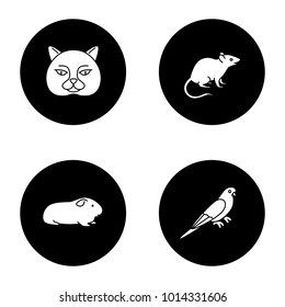 Pets glyph icons set. British cat, mouse, cavy, budgerigar. Vector white silhouettes illustrations in black circles