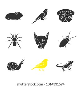 Pets glyph icons set. Cavy, budgerigar, pug, spider, Doberman Pinscher, cockroach, snail, canary, iguana. Silhouette symbols. Vector isolated illustration