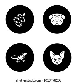 Pets glyph icons set. Python, pug, iguana, Canadian Sphynx. Vector white silhouettes illustrations in black circles
