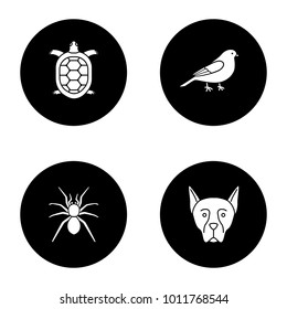 Pets glyph icons set. Tortoise, canary, spider, Doberman Pinscher. Vector white silhouettes illustrations in black circles