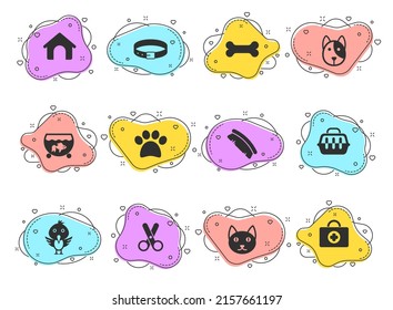 pets glyph vector icons on color bubble shapes isolated on white background. pets icon set for web design, mobile apps and ui design