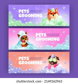 Pets grooming cartoon banners with funny dogs and cat applying spa procedures. Cute animals wear turban or cucumber slices on eyes sitting in foamy tub with shampoo bubbles, Vector illustration